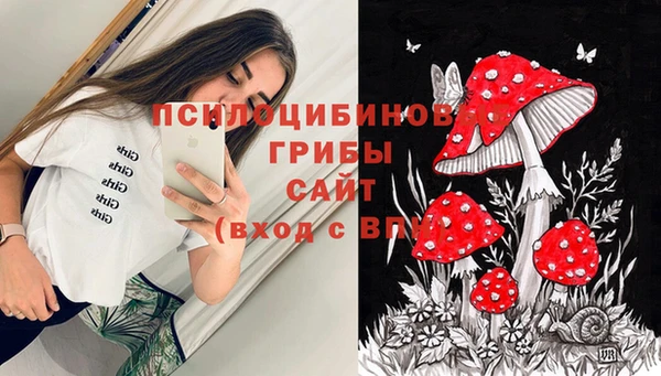 соль ск Богородицк
