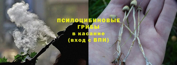 соль ск Богородицк