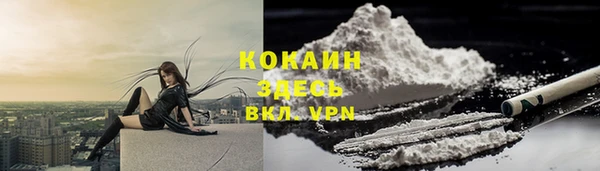 соль ск Богородицк