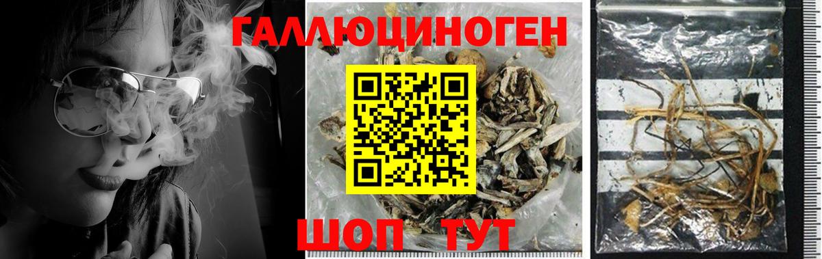 Галлюциногенные грибы прущие грибы  где купить наркоту  Бугульма  Вход с VPN 